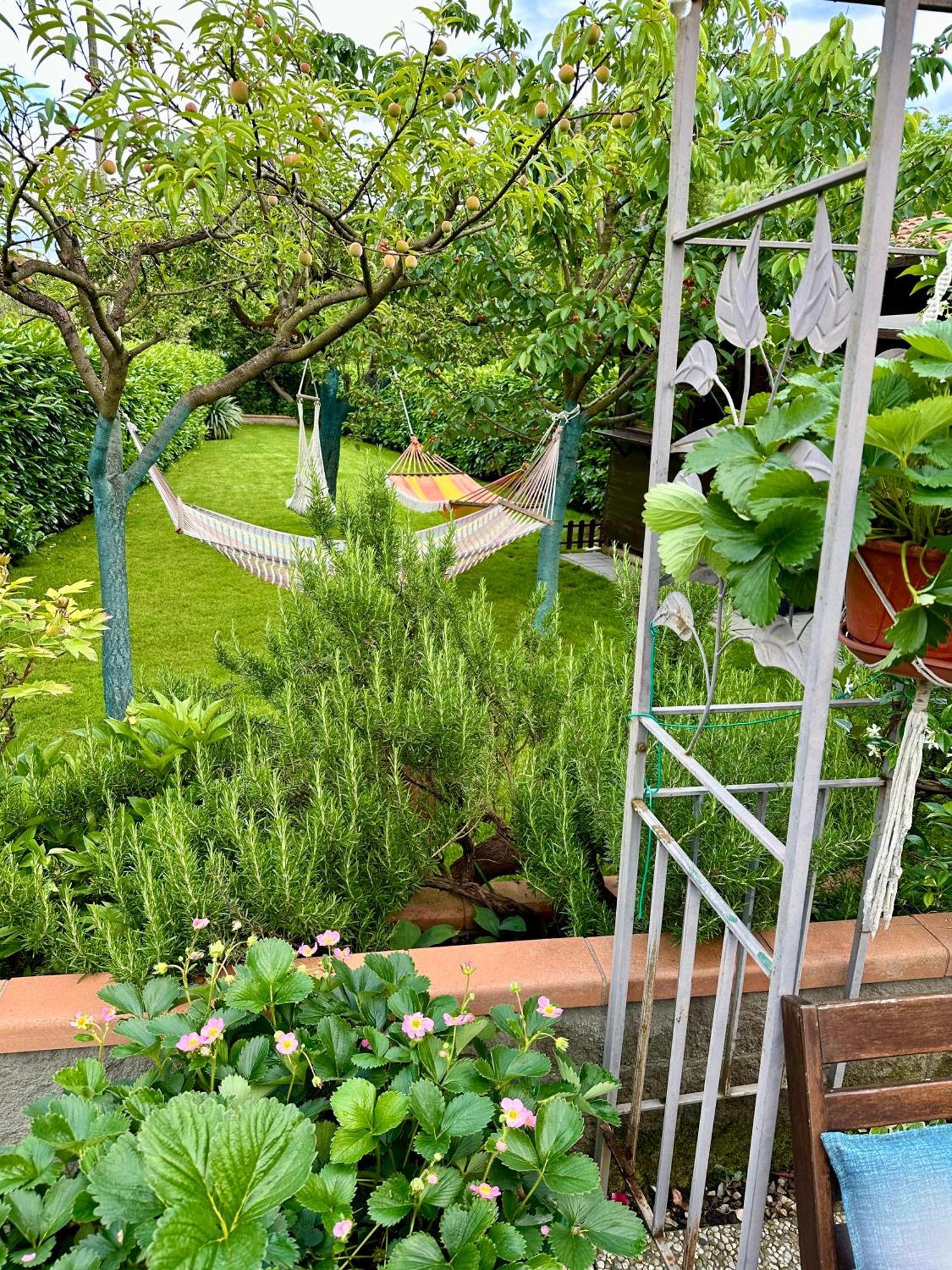 Villa "Corte De' Baldi" Ortignano Raggiolo ภายนอก รูปภาพ