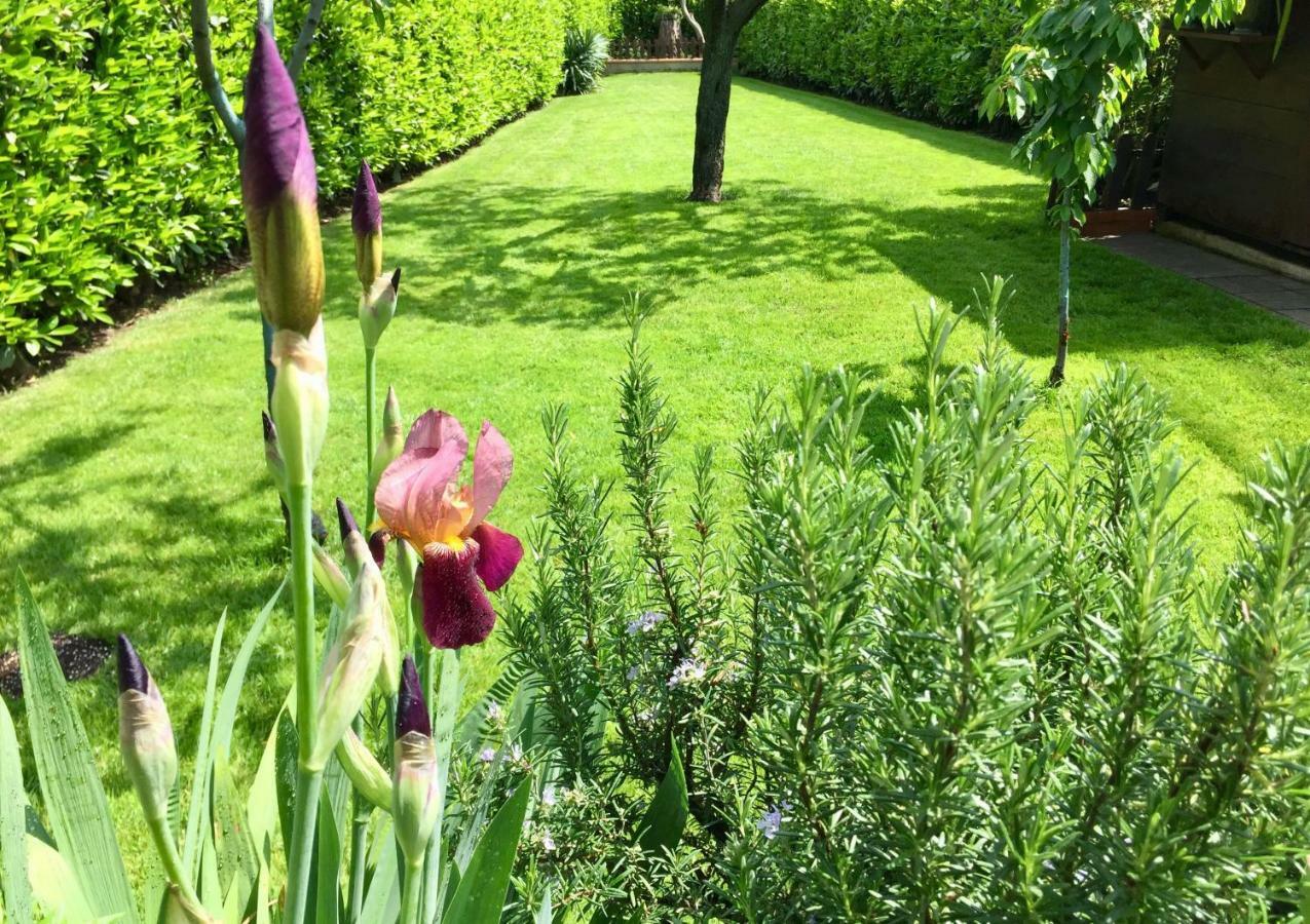 Villa "Corte De' Baldi" Ortignano Raggiolo ภายนอก รูปภาพ